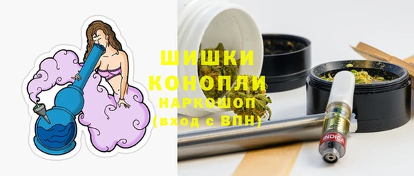 винт Няндома