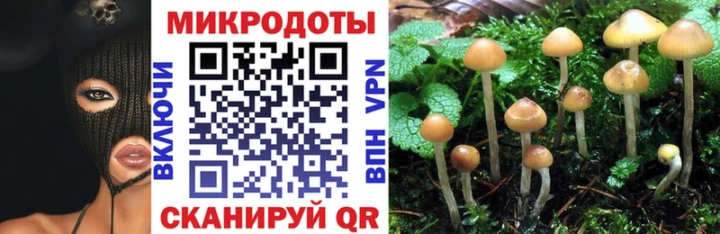darknet какой сайт  Краснодар  Псилоцибиновые грибы мицелий 